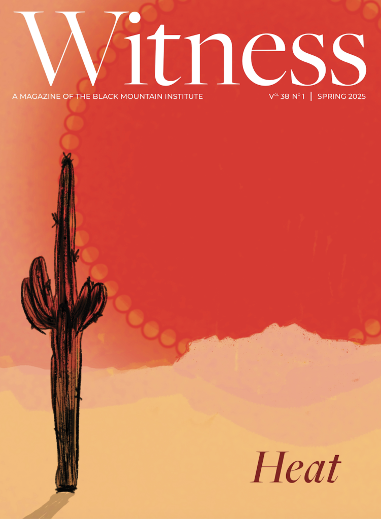 Cover of the Spring 2025 Issue, Cactus with a Large red sun behind
